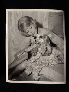 ORIGINAL 1962 JANE FONDA PERIOD OF ADJUSTMENT US MOVIE ACTRESS 10X8 PRESS PHOTO - Picture 1 of 3