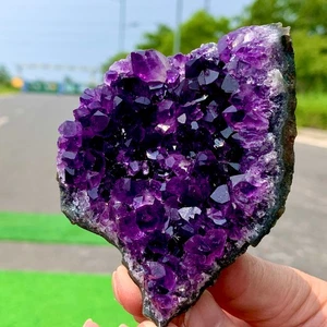 171G Ametista Naturale Geode Quarzo Grappolo Cristallo Esemplare Guarigione - Foto 1 di 20