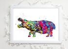 hippo print hippopotamus gloss  a4 paint splatter picture unframed watercolour