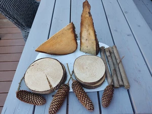14 Bastel-Teile- 4 Baumscheiben 4 Stämmchen 2 Keile 4 Zapfen - Bild 1 von 3