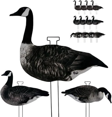 12 Pack Pro-Flocked Silhouette Canada Goose Hunting Decoy with 3 Realistic Poses - Image 1 of 4