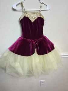 Curtain Call Ballerina Costume C433L Size CLA Kids - Picture 1 of 8