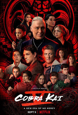 Cobra Kai TV Series Poster 27x40  24x36  14x21  • 9.90$