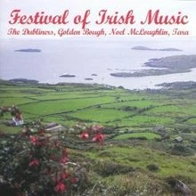 Festival of Irish Music, Vol. 1 von Various | CD | Zustand sehr gut - Bild 1 von 2