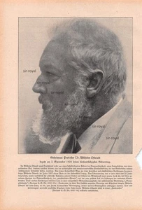 Wilhelm Ostwald - 1928 - Rapporto storico illustrato ~19x29cm - Foto 1 di 1