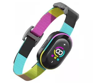 Smart Anti Auto Bark Dog Collar Waterproof Barking Training Rechargeable NEW - Picture 1 of 6