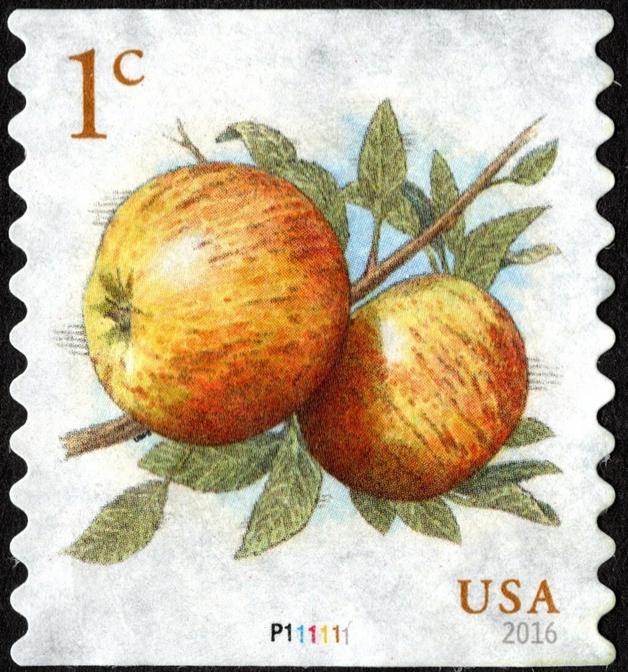 US Stamp Scott # 5037 Plate Number P111111 Coil Single - 1 Cent Apples Issue VF - Image 1 of 1