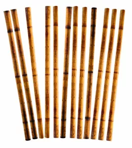 Forum Sommer Luau Bambus bedruckt 8" Einweg Papier Strohhalme, 12 CT, braun - Bild 1 von 1