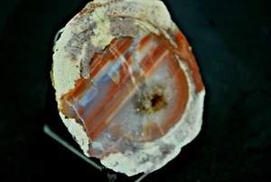 AGATES DE FRÉJUS ( VAR ) LITHOPHYSES DE L'ESTEREL - Imagen 1 de 3