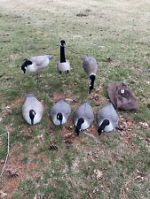 Lot Of 7 Shell Hollow Canadian Goose Decoys-Bass Pro Hard Core. 20”-28” Bodies