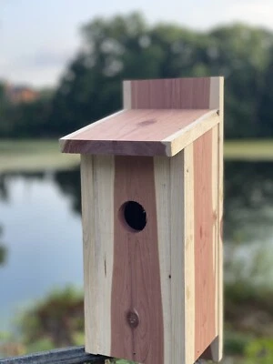 Casa para pájaros Bluebird de cedro rojo hecha en EE. UU. Foto 1 de 4