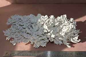 TABLE CORAL  AQUARIUM BEACH DACOR NAUTICAL TROPICAL CRAFT #1493 - Picture 1 of 6