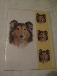 CARTE + ENVELOPPE - chien COLLEY - Picture 1 of 1