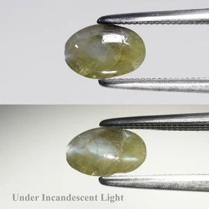 💎 1.05ct Oval Cabochon Natural Green Cat's Eye Chrysoberyl - Sri Lanka Gemstone - Picture 1 of 6