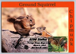 #3899j Northeast Deciduous Forest Eastern Chipmunk FDC Maxi Card w/Pictorial Can - Picture 1 of 2