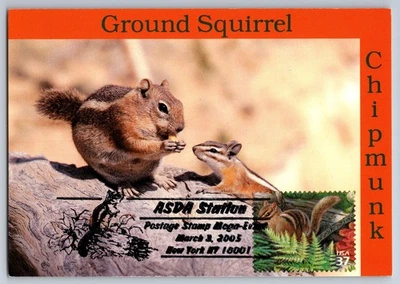 #3899j Northeast Deciduous Forest Eastern Chipmunk FDC Maxi Card w/Pictorial Can - Image 1 of 2