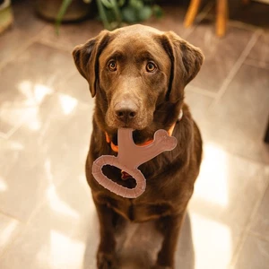 Tough Dog Chew Toys for Aggressive Interesting Chewing Squeaky Large - Picture 1 of 12