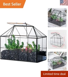 Unique Geometric Glass Terrarium for Succulents - 9.84" Indoor Plant Decor - Picture 1 of 10