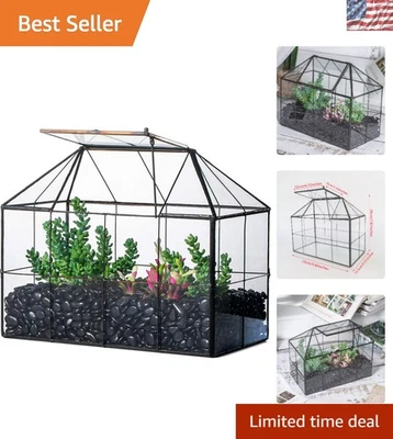 Unique Geometric Glass Terrarium for Succulents - 9.84" Indoor Plant Decor - Image 1 of 4
