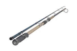 Dblue 10'MH Surf Spinning Rod Featuring FUJI Reel Seats &Titanium Graphite Blank - Picture 1 of 8