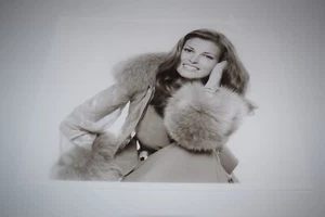 Raquel Welch pinup 8x10 glossy photo Busty Sexy Gorgeous Cleavage 1207 - Picture 1 of 1