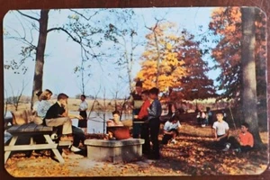 Rocky Fork State Park Lake Hillsboro Ohio Picnic Camping Vintage Postcard - Picture 1 of 4