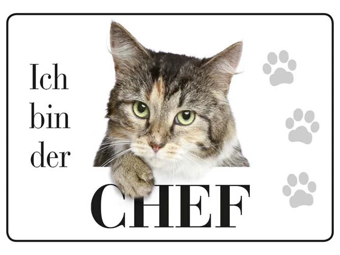 BLECHWAREN FABRIK BRAUNSCHWEIG GMBH ICH BIN DER CHEF - KATZE ! Blechpostkarte 10x15 cm Mini Blechschild PC302/206