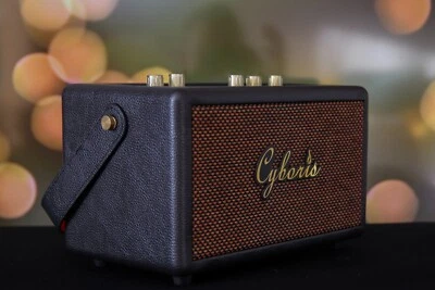 CYBORIS Karaoke Maschinenlautsprecher 80 W EQ tragbar drahtlos + 2 Mikrofone Bluetooth Radio