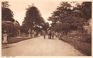 THE ELEPHANT RIDE & BROADWALK BRISTOL ZOO POSTCARD c.1930'S EW SAVORY - Picture 1 of 2