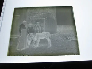 ONE (1) EARLY 1900s GLASS NEGATIVE: MAINE, "AUNT LIZZIE CARROLL WILLIE & CALF" - Picture 1 of 1