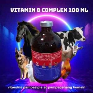 bcomplex + estratto di fegato iniettabile 100ml (SPEDIZIONE GRATUITA IN USA) - Foto 1 di 6
