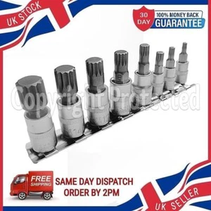 8PC 12PT SPLINE BIT STAR SOCKET SET M10 - M16 1/4" & 3/8" DRIVE RAIL HOLDER RACK - Picture 1 of 4