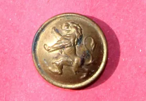 BOUTON UNIFORME MILITAIRE BELGIQUE LION LEOPARD BATAILLON D'ADMINISTRATION BELGE - Foto 1 di 2