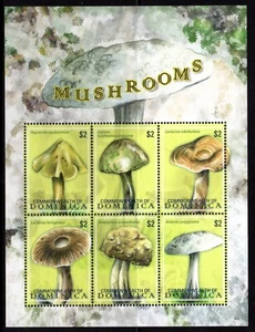 DOMINICA FUNGHI MUSHROOM PILZEN RIF 107 - Imagen 1 de 1