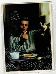 James Dean Postcard - stripped shirt - Picture 1 of 1