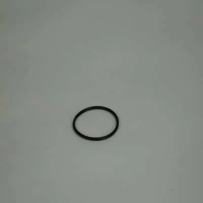 BULLFROG SPAS GENUINE PARTS Bullfrog Spas Jetpak Manifold O-Ring 2 in.