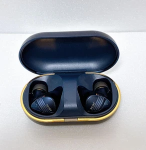 AVIOT TE-W1 Wireless Earphones Noise Cancelling Bluetooth IPX Waterproof New - Picture 1 of 10