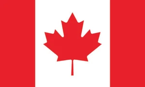 Lot of 10 Canada Flag Face Stickers 1005 - 1.5" x 2.5" - Picture 1 of 1