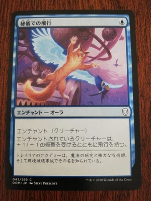MTG Arcane Flight Japanese DOM 1x NM Common Blue Aura Enchant Creature Flying - Image 1 of 2
