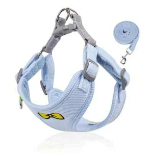 Reflective No-Pull Dog Harness and Leash Set with Bowknot - Pet Walking Gear - Picture 1 of 17