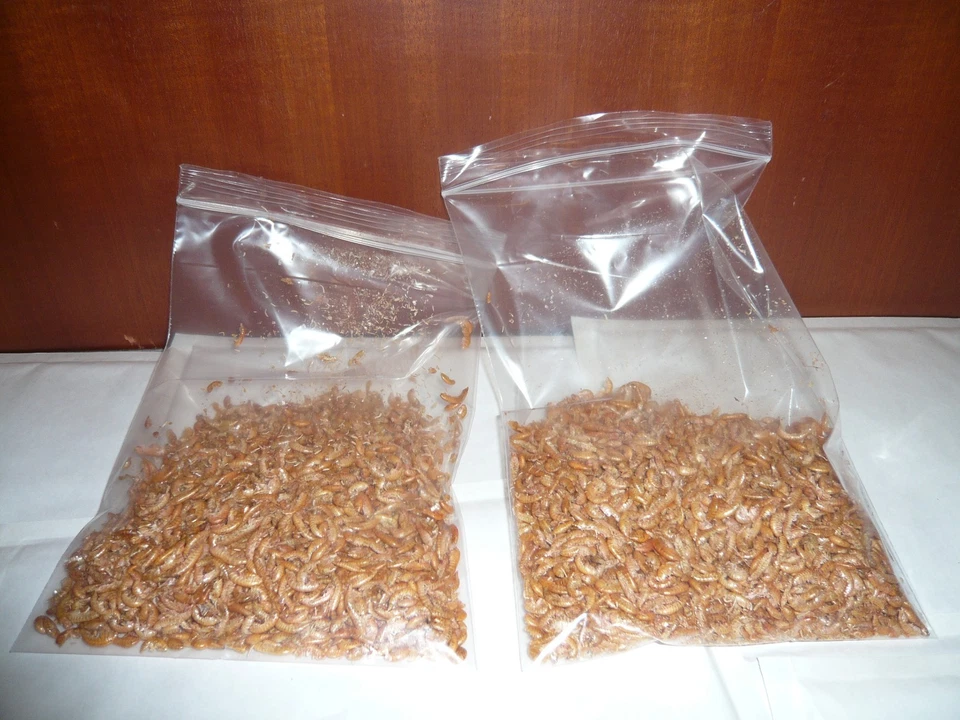 400 ml Gammarus Bachflohkrebse ,  Fischfutter , Futter Nagetiere   (14,98€/L) - Bild 1 von 1