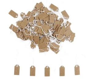 Sowaka 100 Pcs Display Tags with Hanging String Mini Writable Blank Label Dis... - Picture 1 of 4