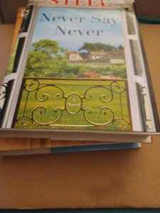 Never Say Never : A Novel by Danielle Steel (2025, Hardcover) - Picture 1 of 1