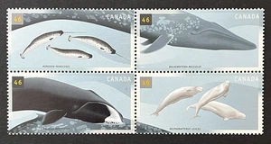 CANADA - 2000 - Whales 2000, Block of 4 - Foto 1 di 1