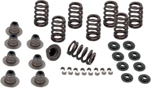 S&S Cycle Moto Motorcycle Motorbike Valve Spring Kit | Vendor #900-0958 - Picture 1 of 1