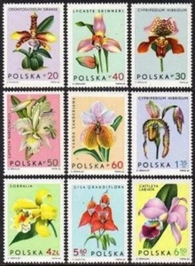 Poland 1346-1354, MNH. Michel 1612-1620. Orchids 1965. - Picture 1 of 1