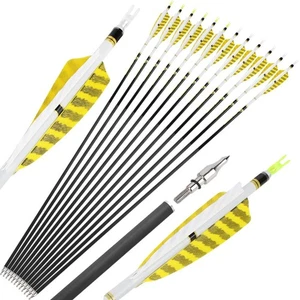 Jagdpfeile SP300-800 Pure Carbonpfeile 4" Naturfeder Recurve Compoundbogen Jagd - Picture 1 of 20