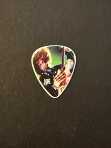 guitar pick collection - AEROSMITH. JOE PERRY. WIFE BILLIE PORTRAIT. - Picture 1 of 2