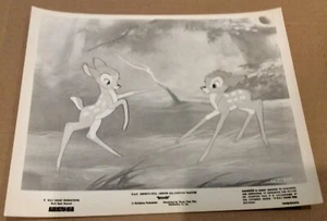 R66 Original Bambi 8 x 10 Foto R66/50 - Bild 1 von 1