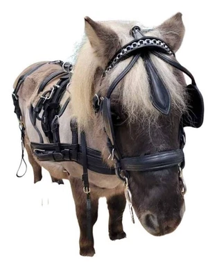 WEISSL Mini Shetty Geschirr Einspänner - gleiche Qualität wie für Großpferde - Bild 1 von 4
